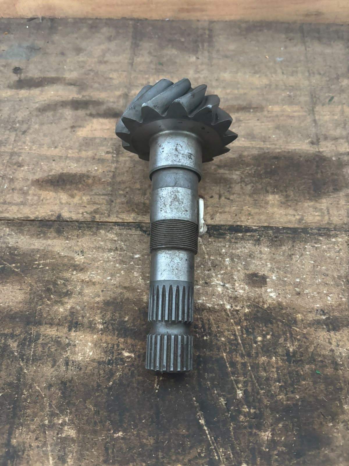 Coroa e pinhao DQ27253