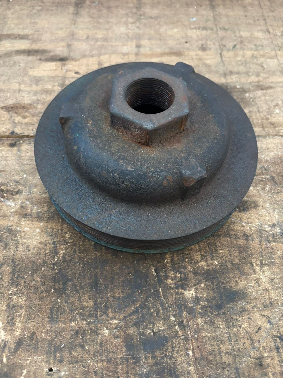 Polia R244286