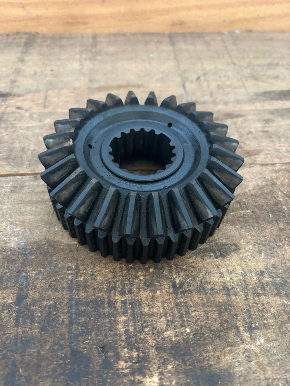 Coroa 566715